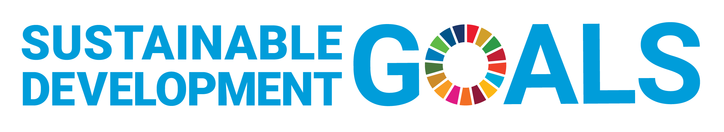 SDG logo without UN emblem