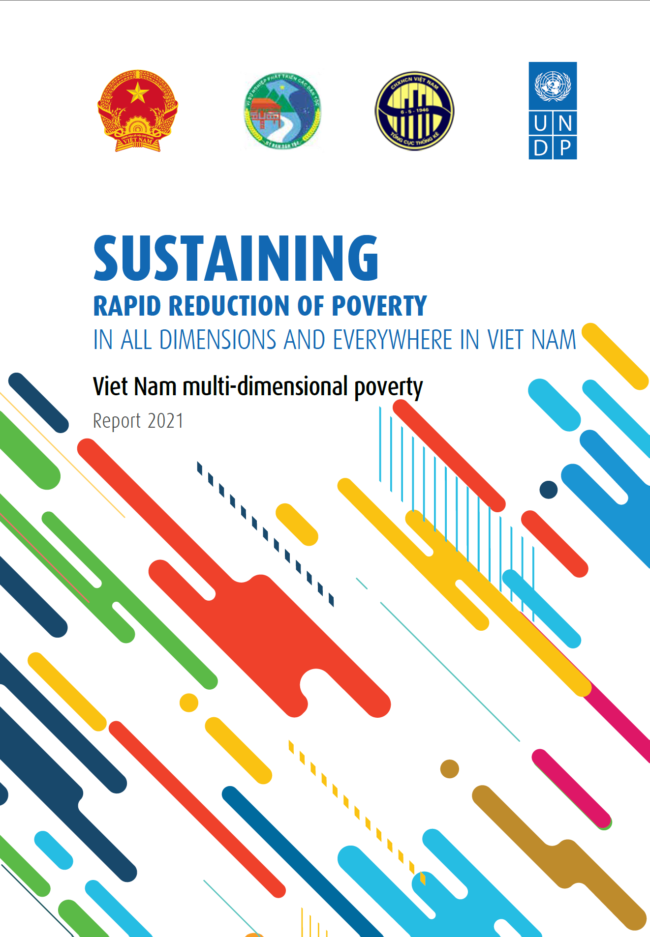 Cover of Viet Nam MDP report 2021